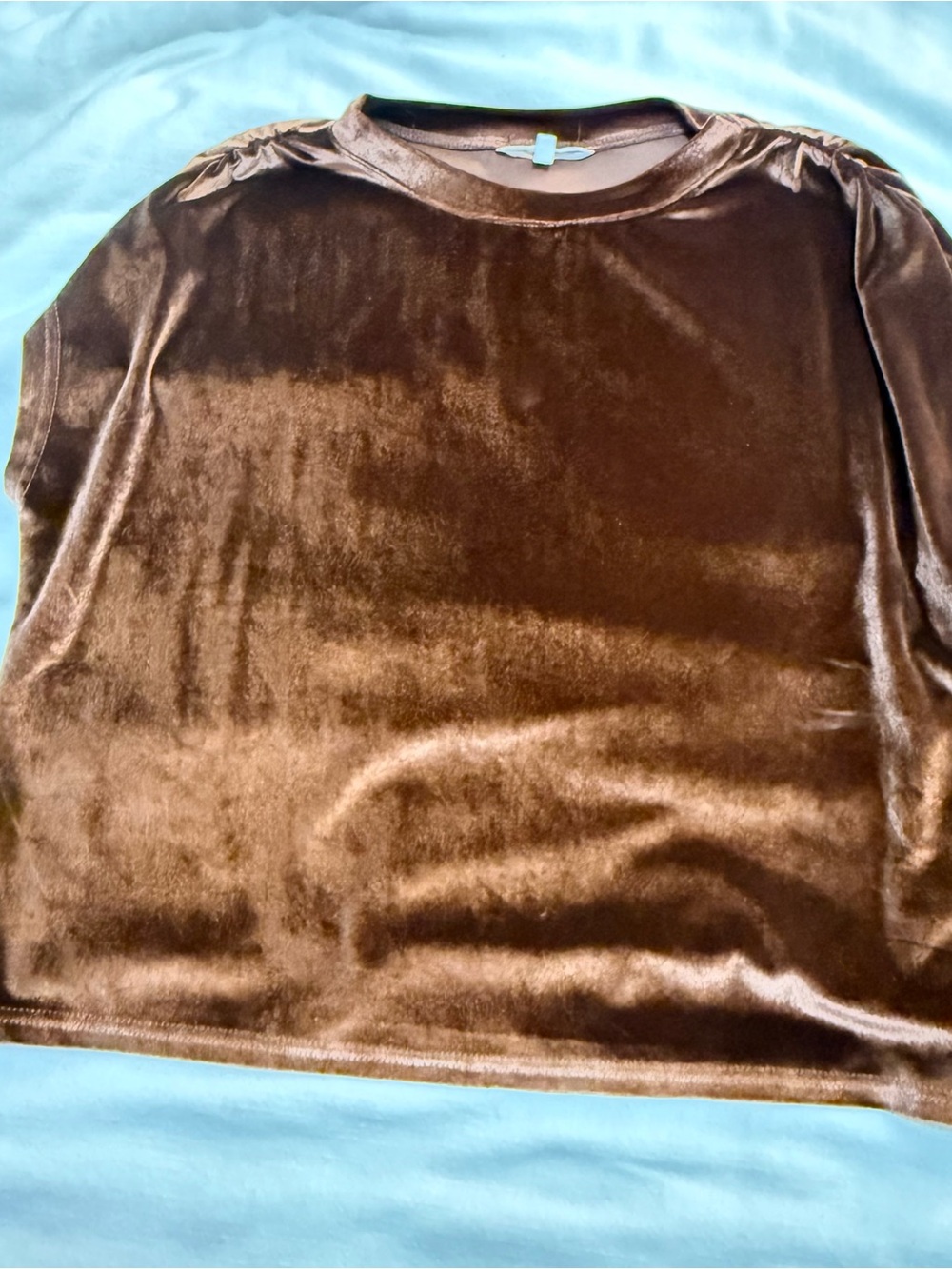Velvet Crewneck Blouse in Brown